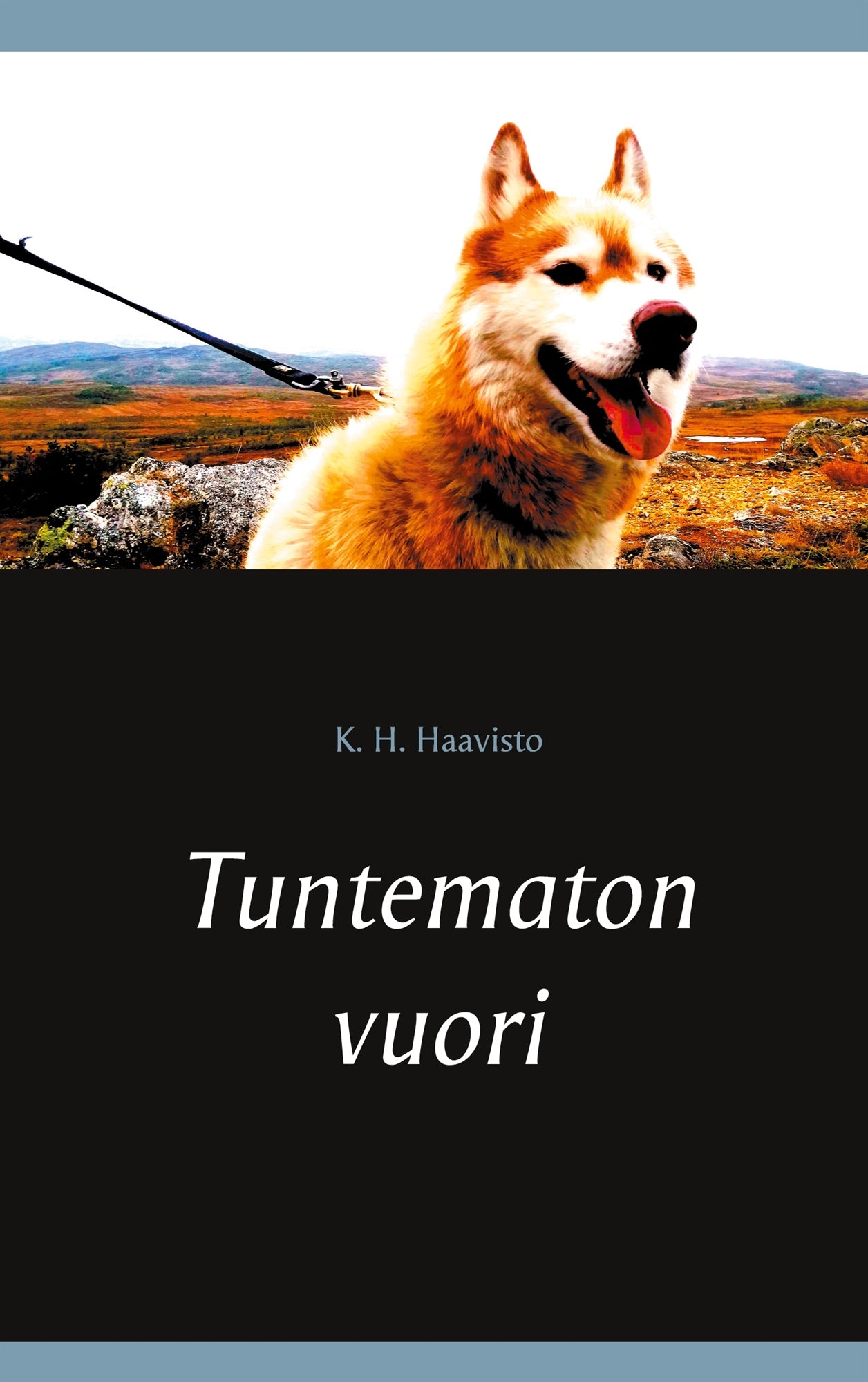 Tuntematon vuori – E-bok