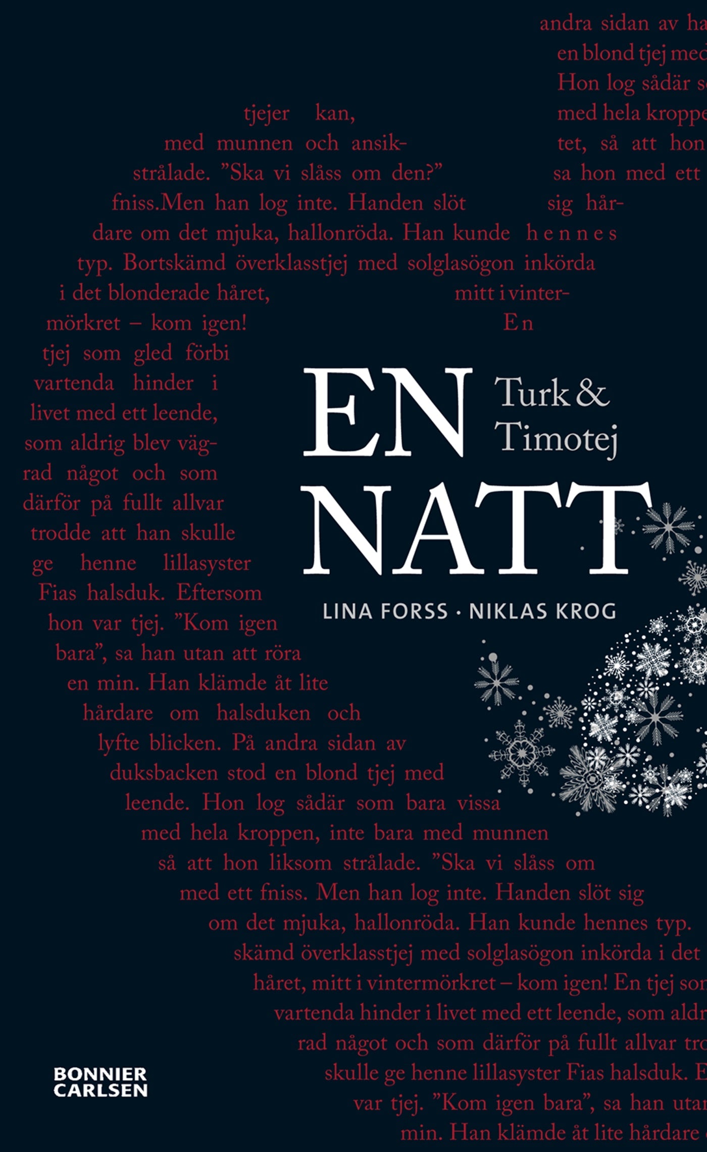 Turk och Timotej - En natt – E-bok