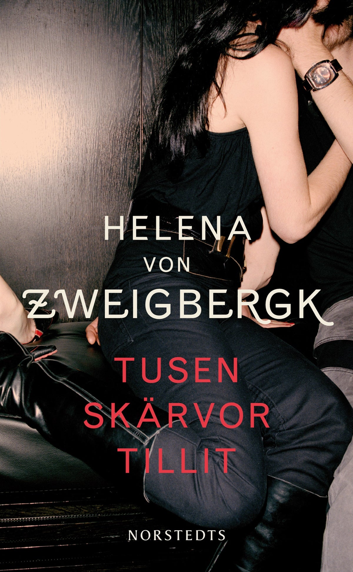 Tusen skärvor tillit – E-bok