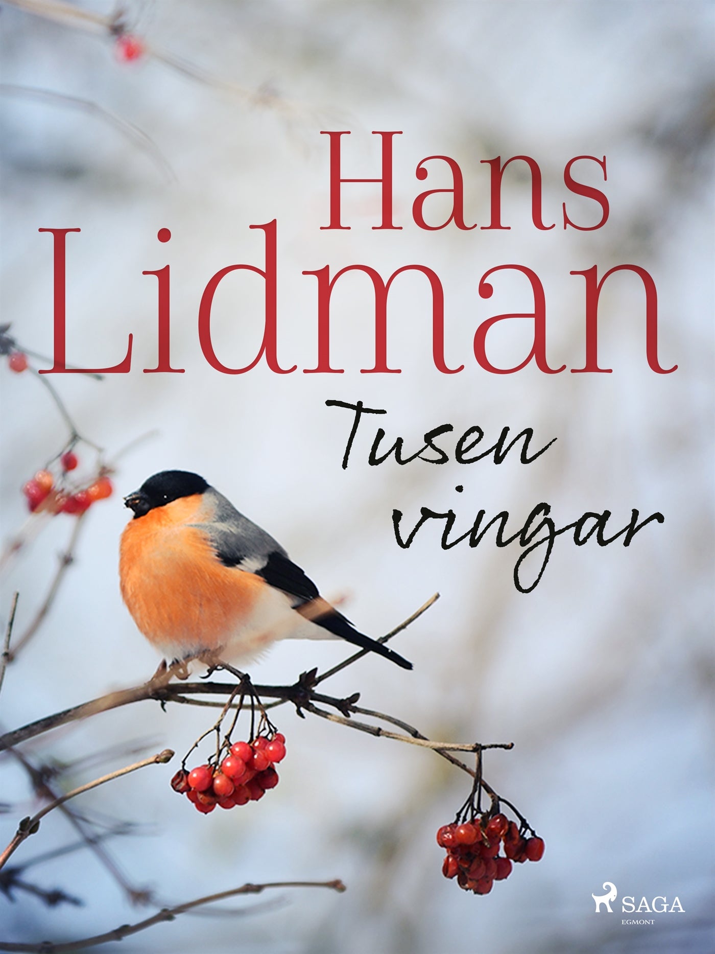 Tusen vingar – E-bok