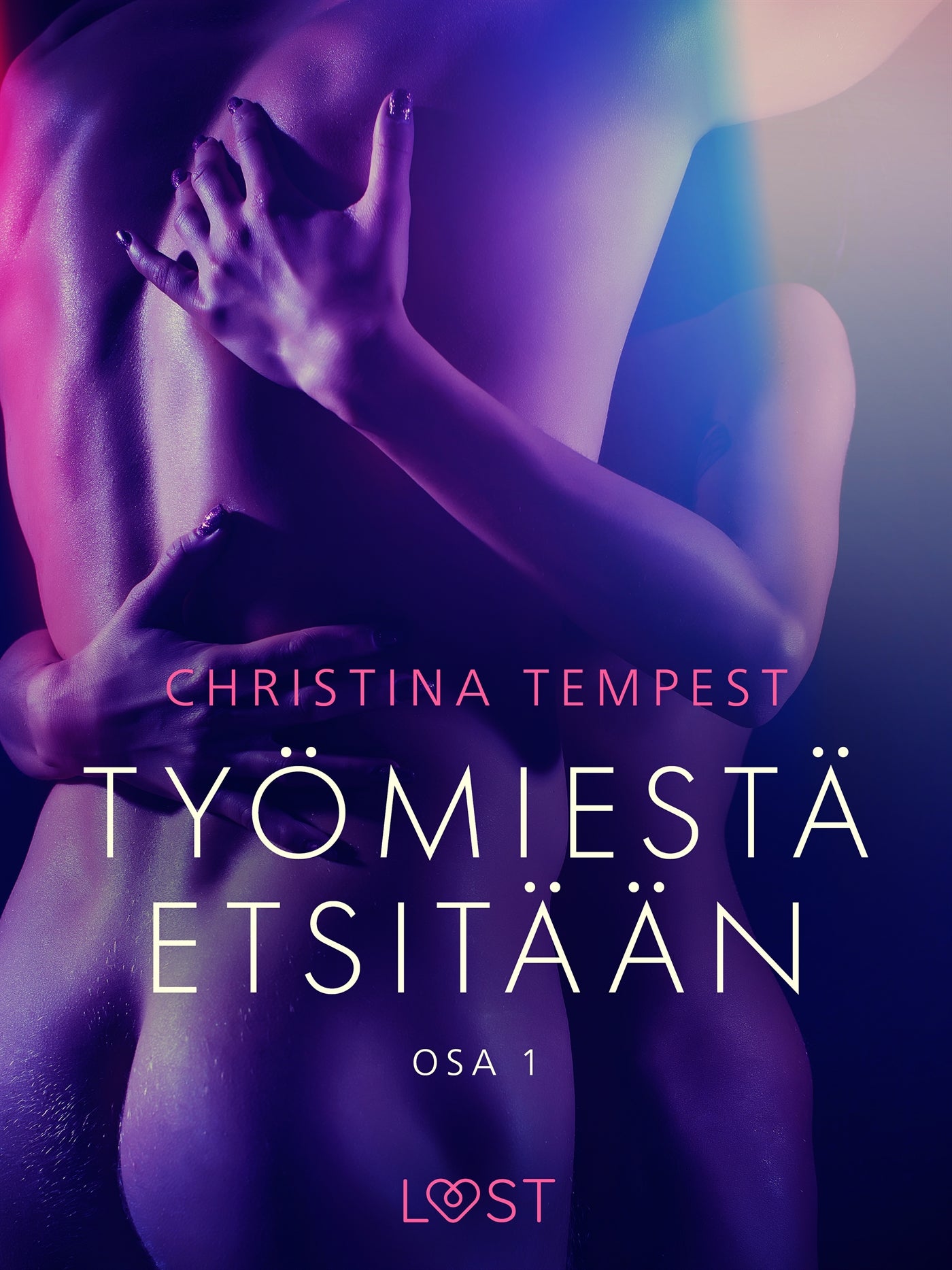 Työmiestä etsitään Osa 1 - eroottinen novelli – E-bok