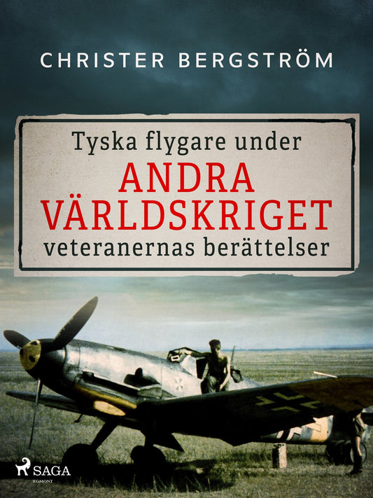 Tyska flygare under andra världskriget : veteranernas berättelser. Del 2 – E-bok