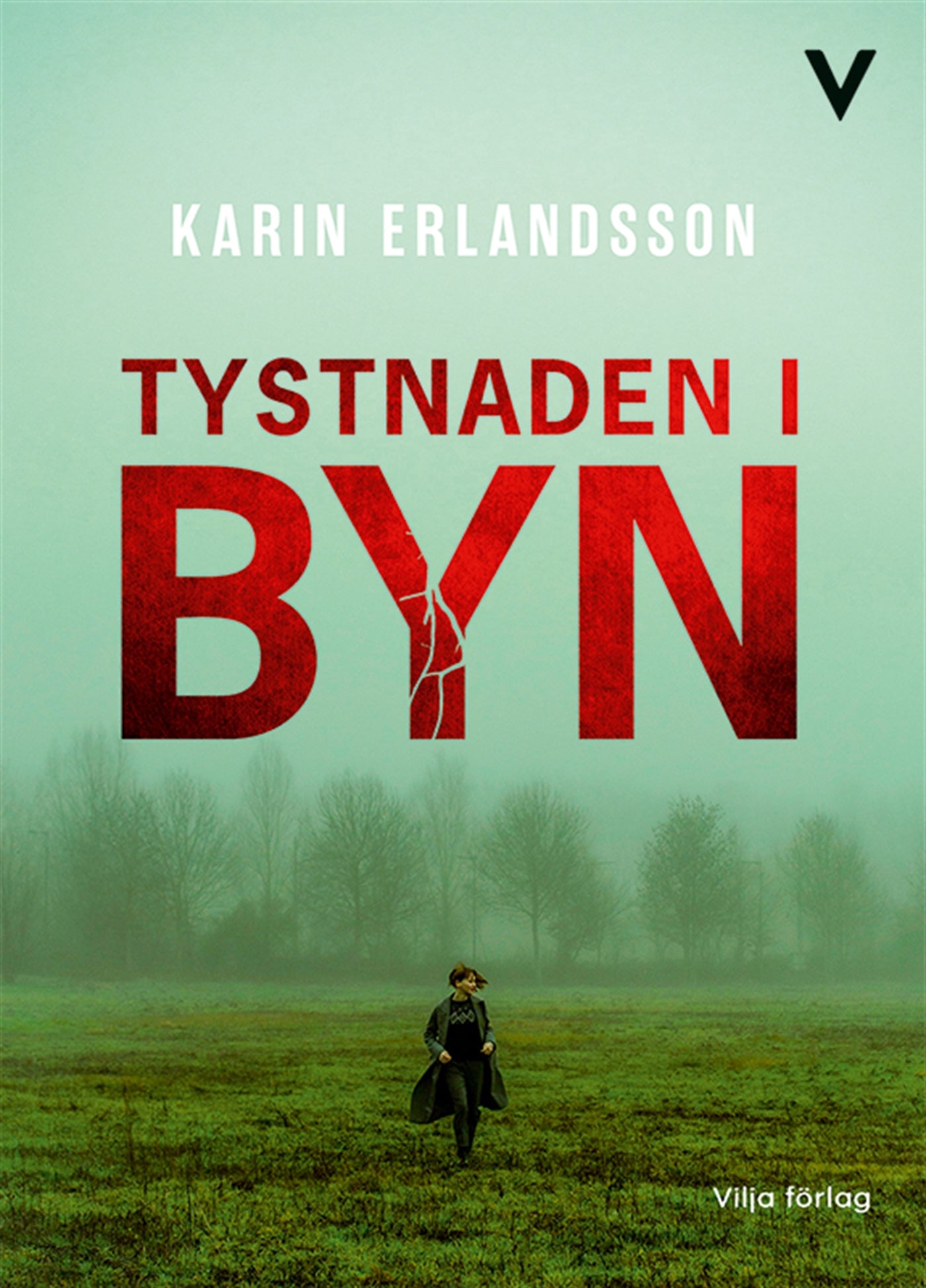 Tystnaden i byn – E-bok