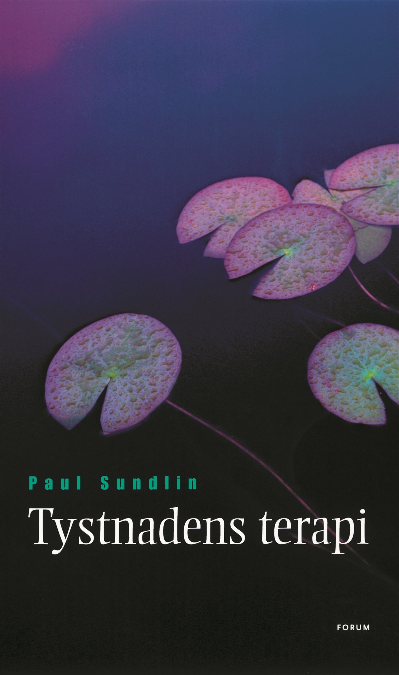 Tystnadens terapi – E-bok