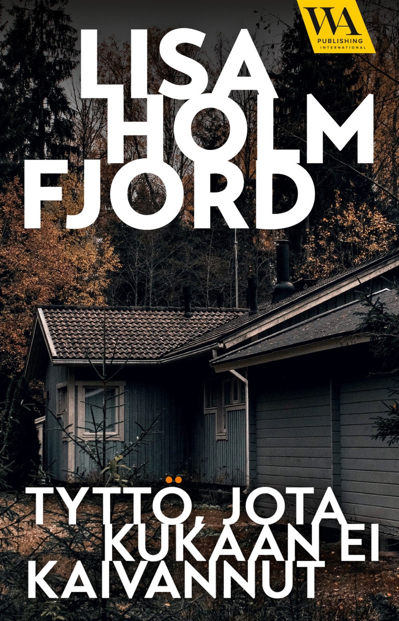 Tyttö jota kukaan ei kaivannut – E-bok