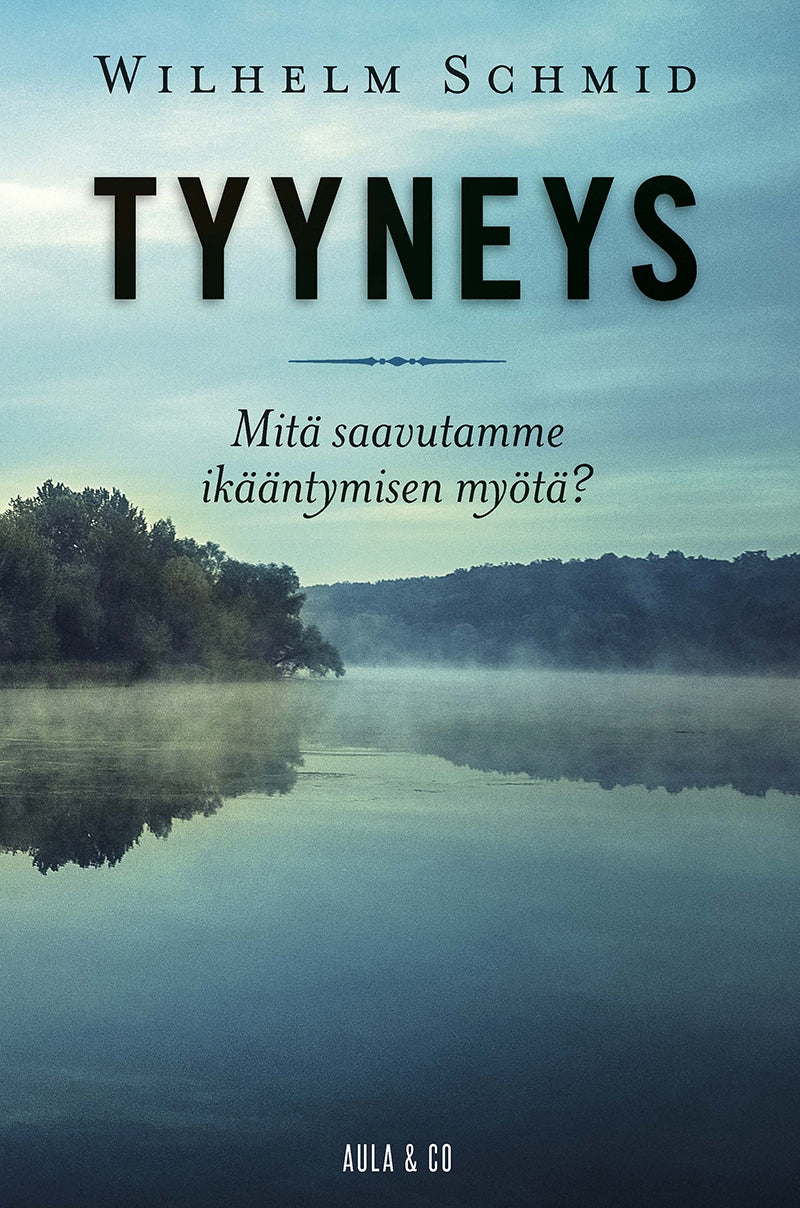 Tyyneys – E-bok
