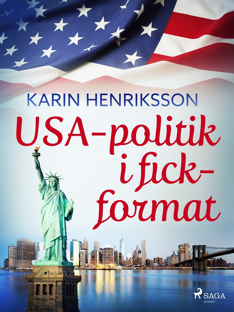 USA-politik i fickformat – E-bok