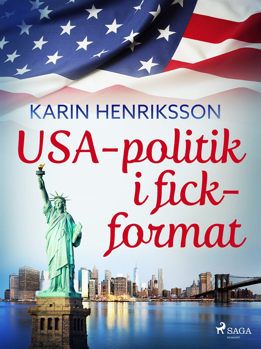 USA-politik i fickformat – E-bok