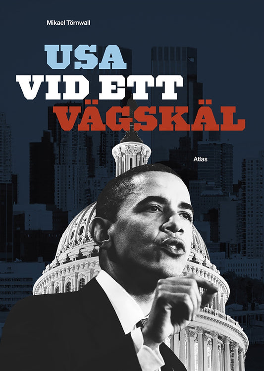 USA vid ett vägskäl : efter valet – E-bok