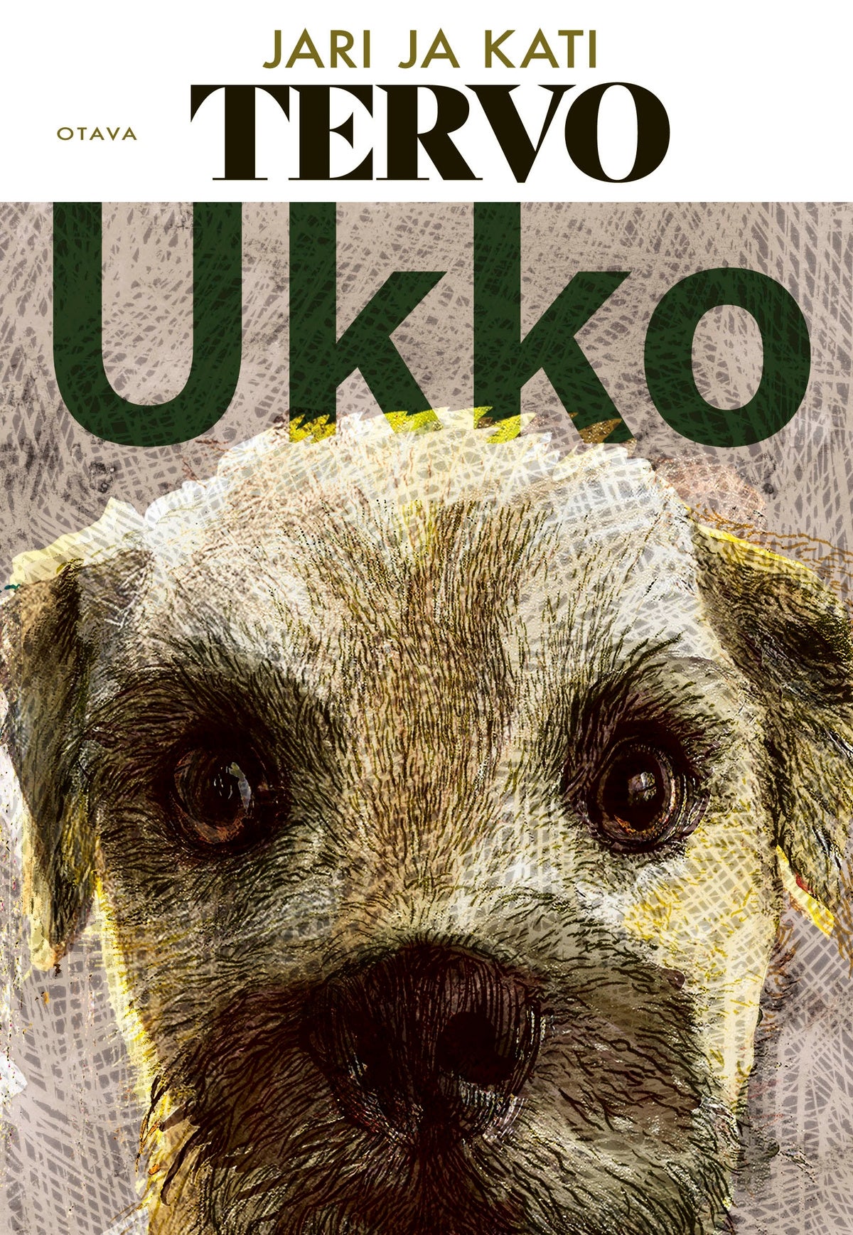Ukko – E-bok