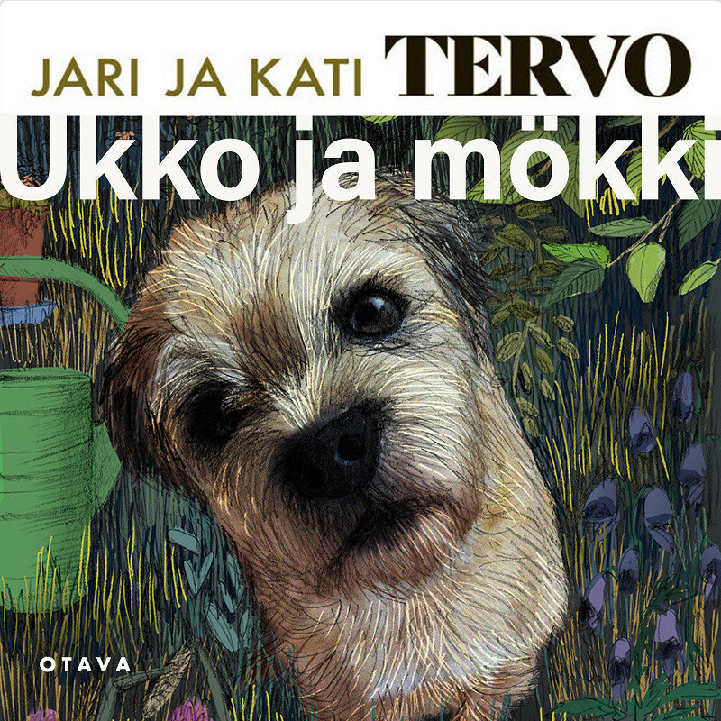 Ukko ja mökki – Ljudbok