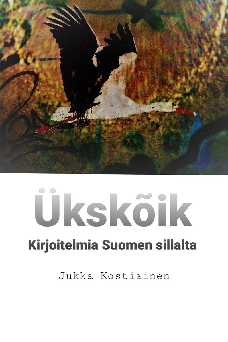 Ükskõik: Kirjoitelmia Suomen sillalta – E-bok