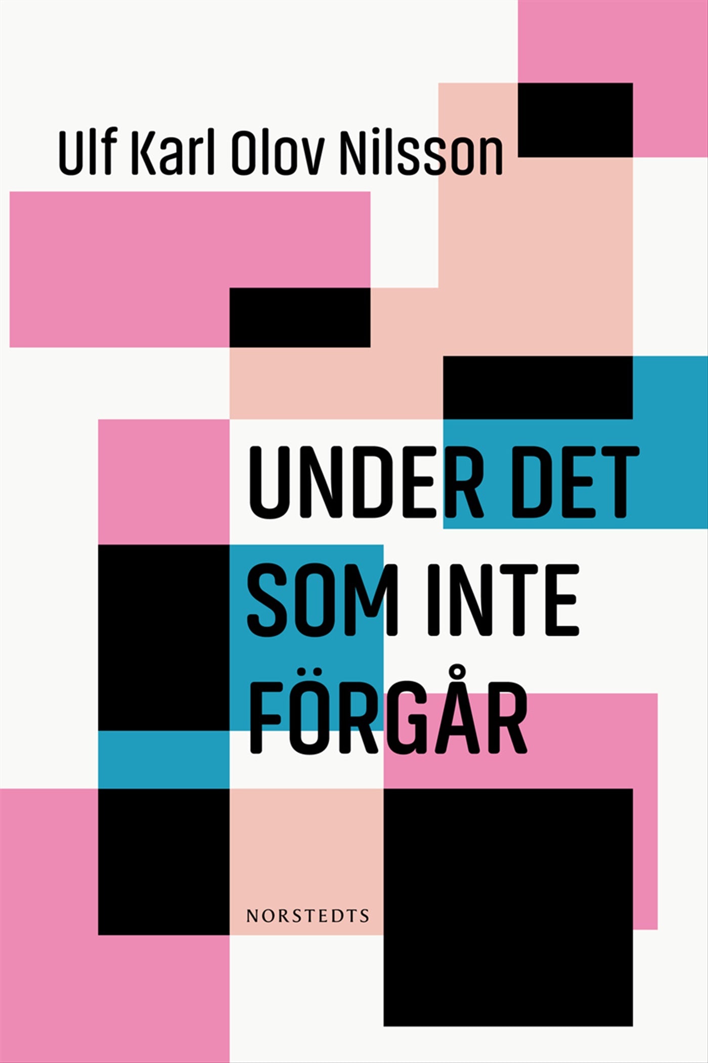 Under det som inte förgår – E-bok