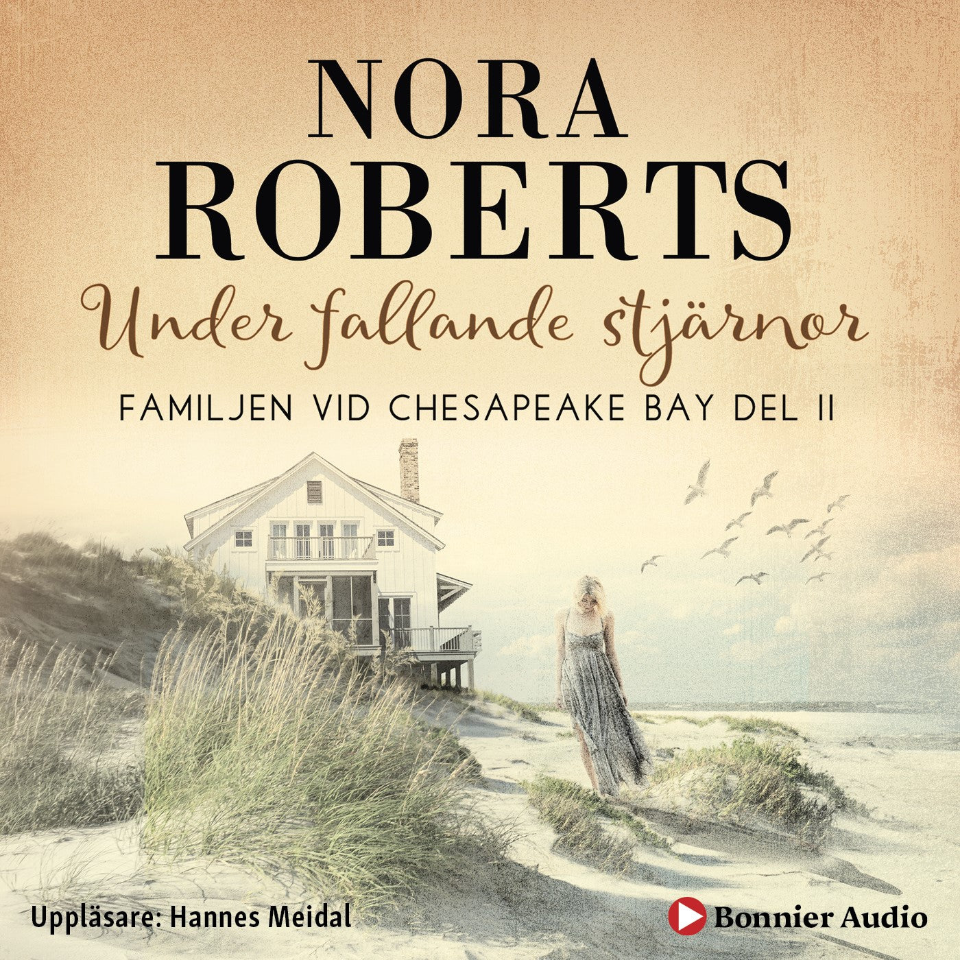 Under fallande stjärnor – Ljudbok
