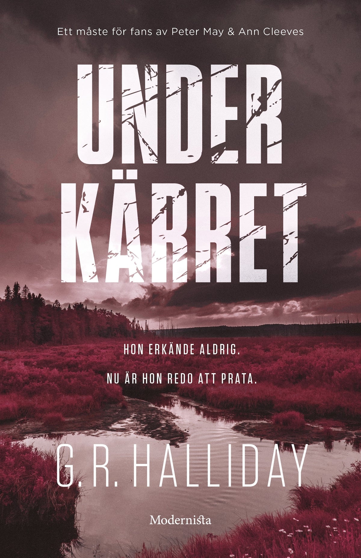 Under kärret – E-bok
