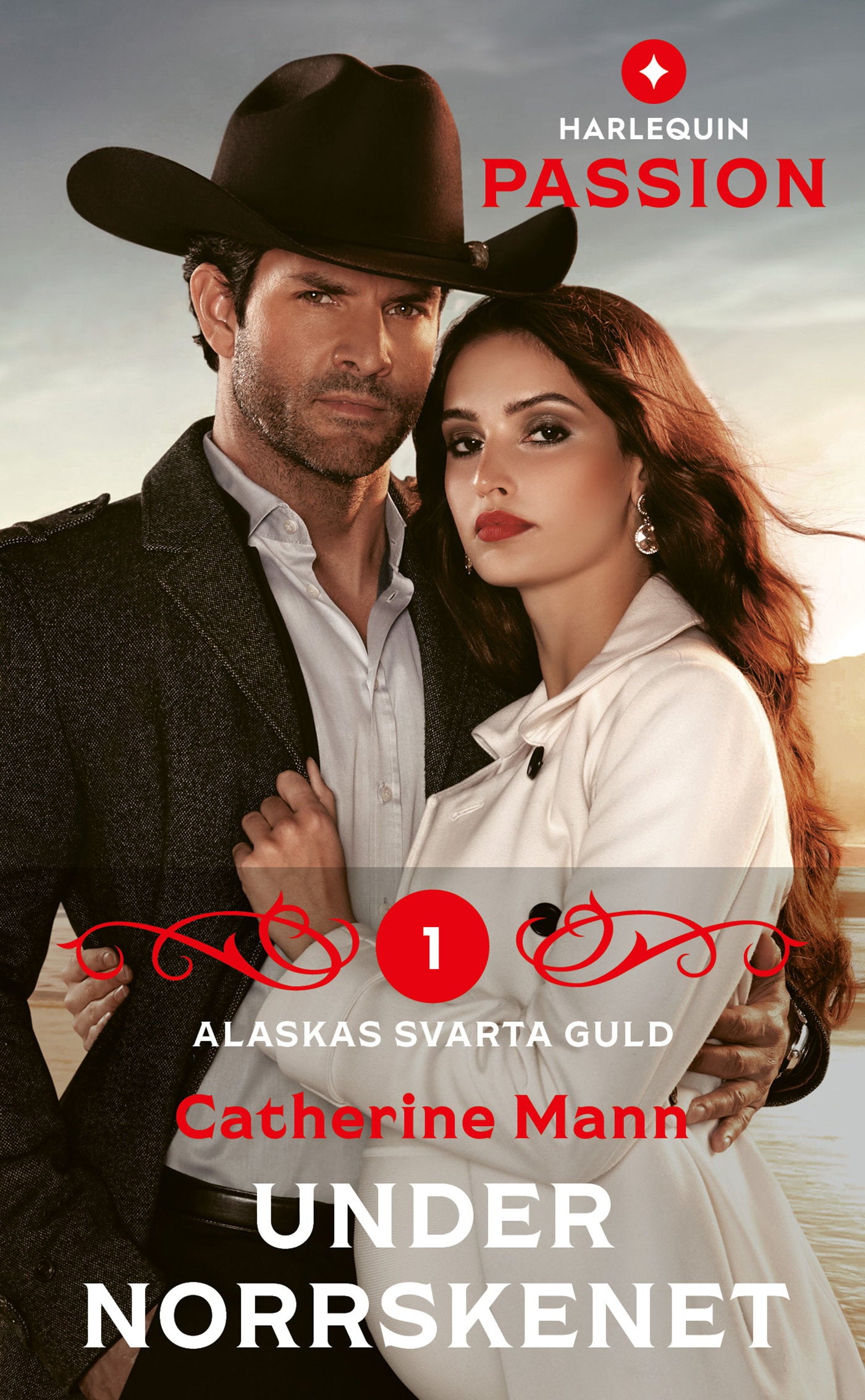 Under norrskenet – E-bok