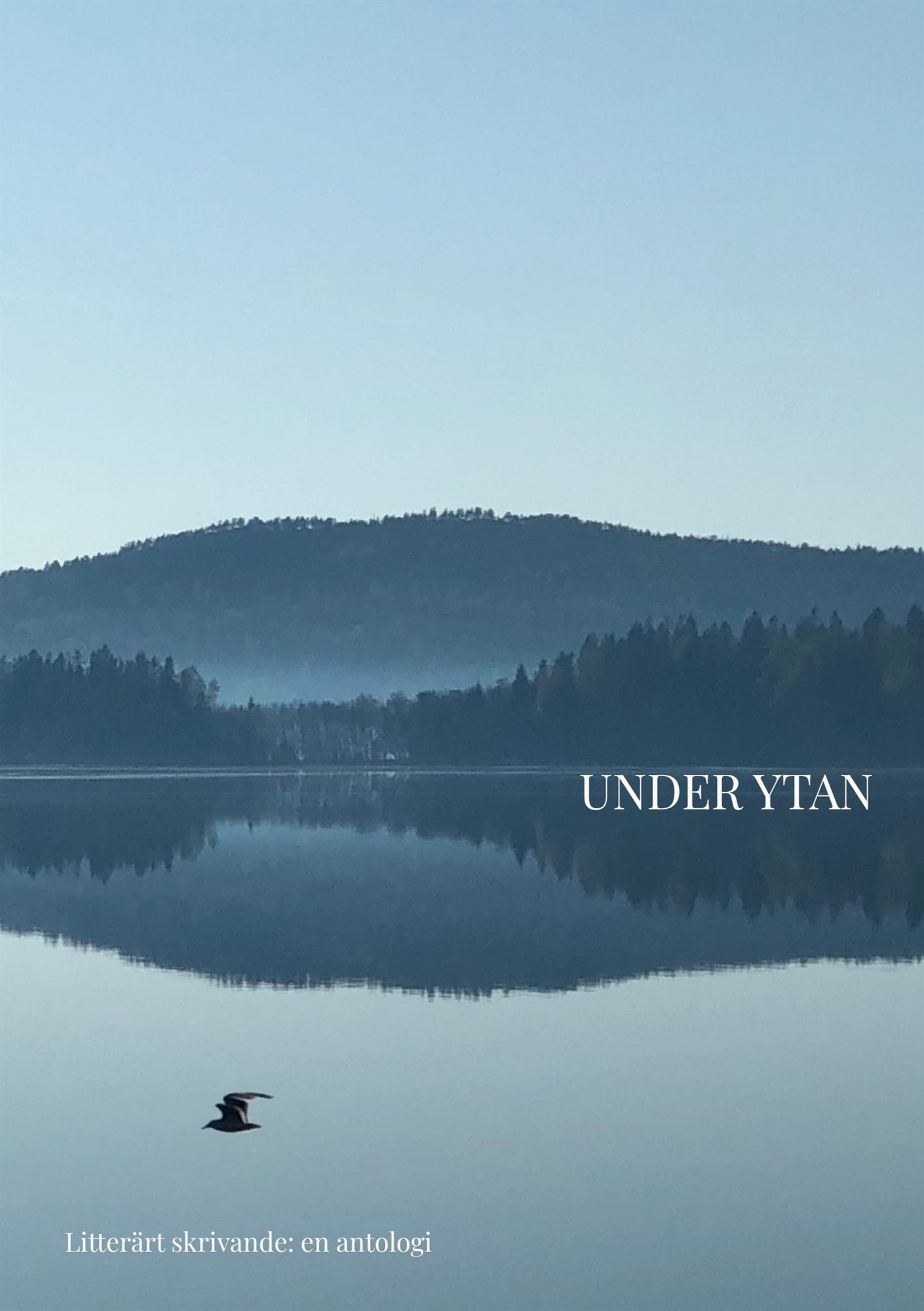 Under ytan: en antologi - Litterärt skrivande, Hola 21-22 – E-bok