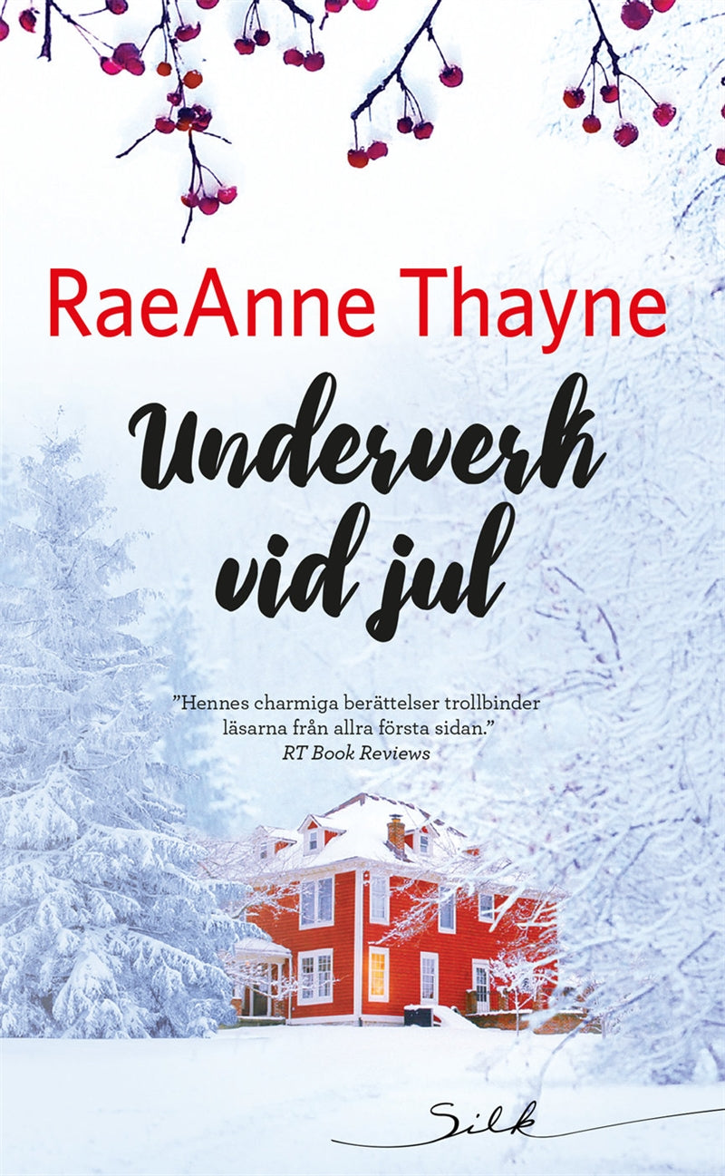 Underverk vid jul – E-bok