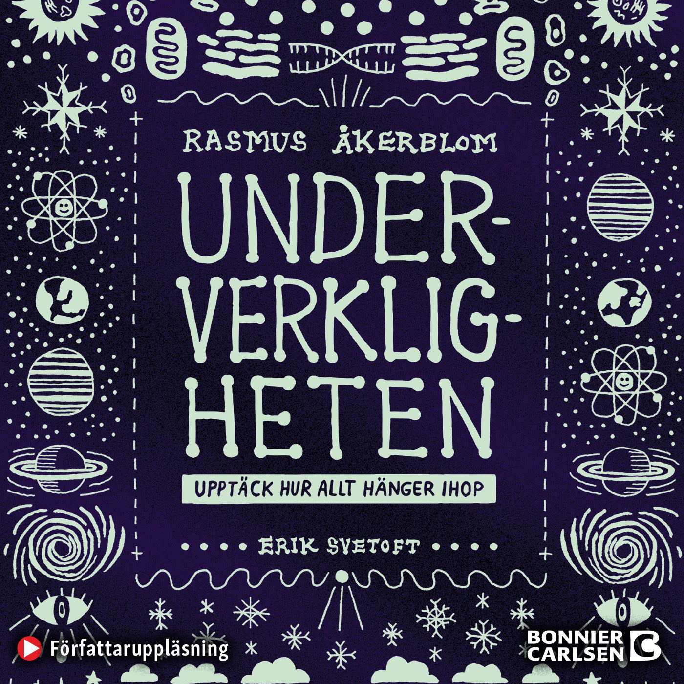 Underverkligheten : upptäck hur allt hänger ihop – Ljudbok