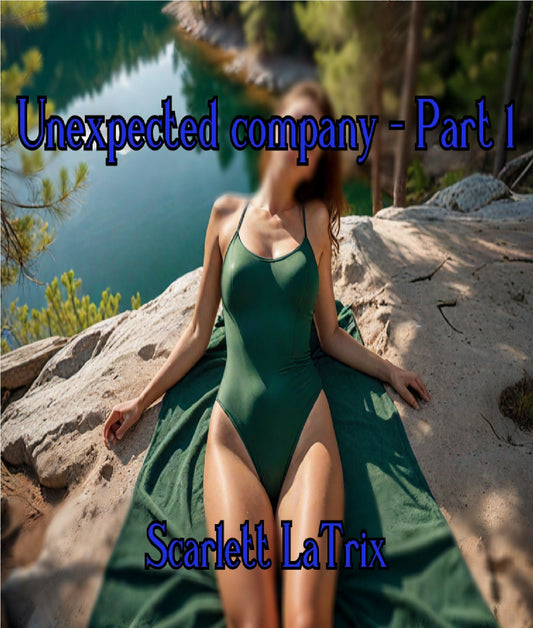 Unexpected company - Part 1 – E-bok