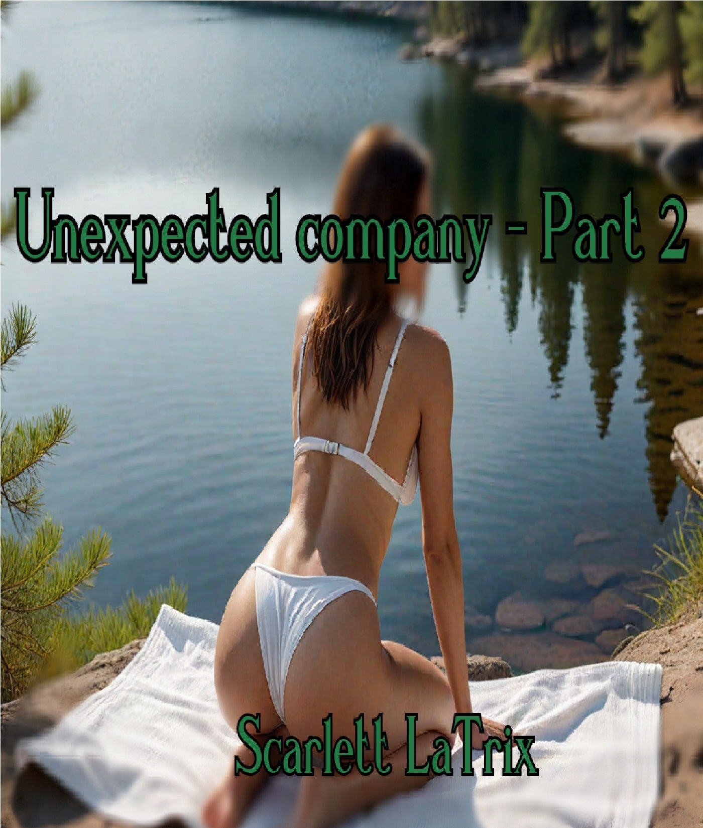 Unexpected company - Part 2 – E-bok