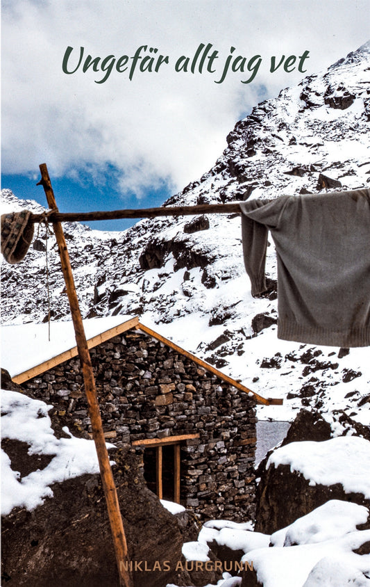 Ungefär allt jag vet: -en månad i Nepal 1989 – E-bok