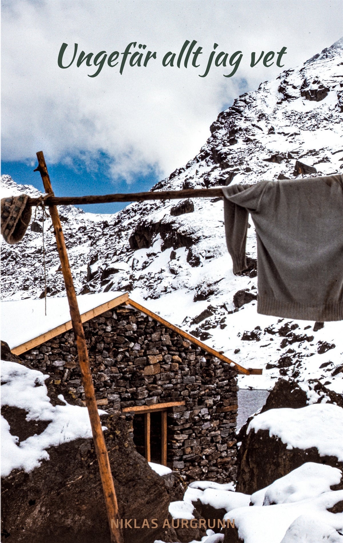 Ungefär allt jag vet: -en månad i Nepal 1989 – E-bok