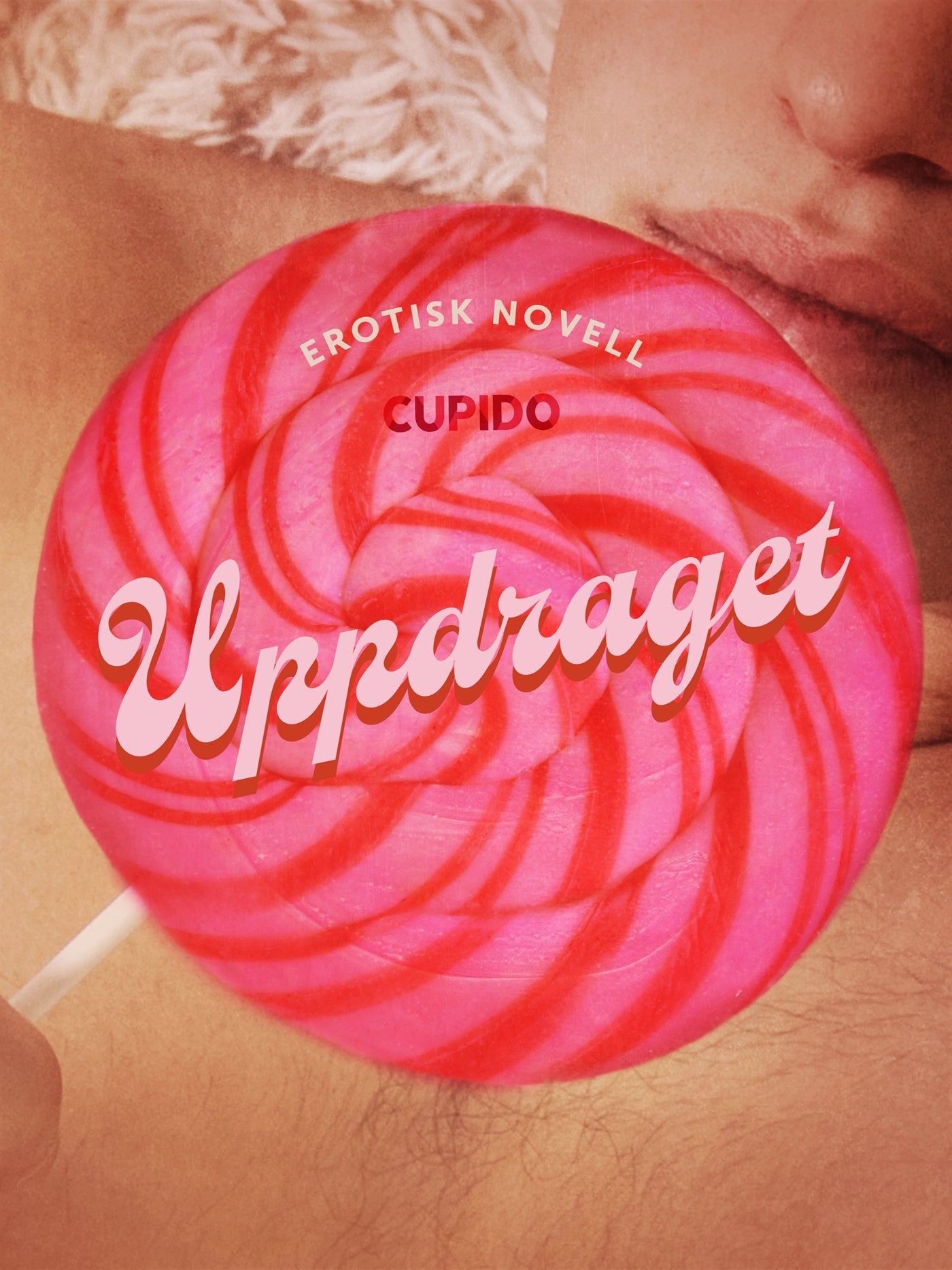 Uppdraget - erotisk novell – E-bok