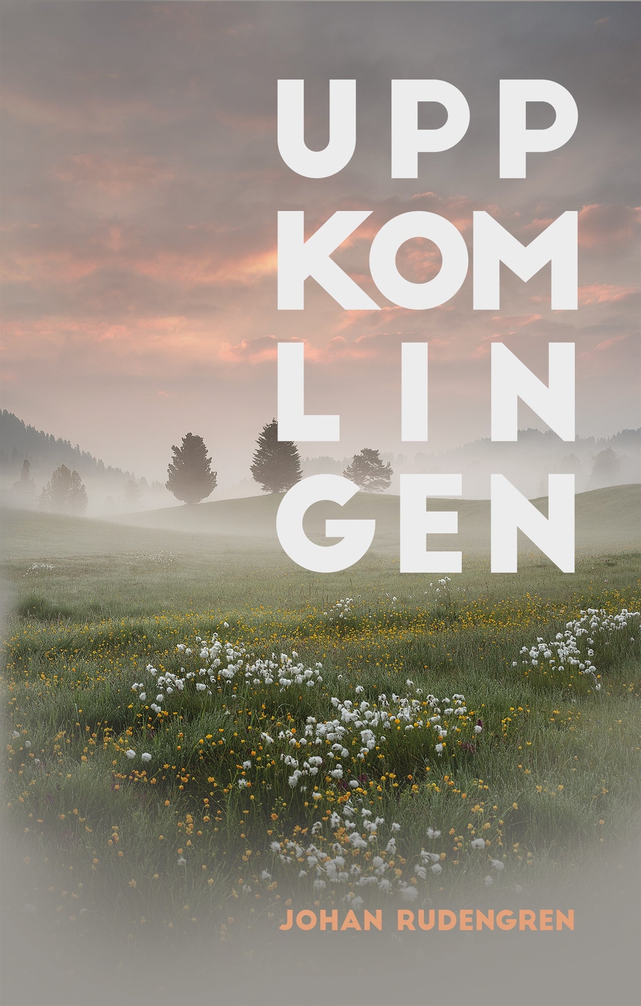 Uppkomlingen – E-bok