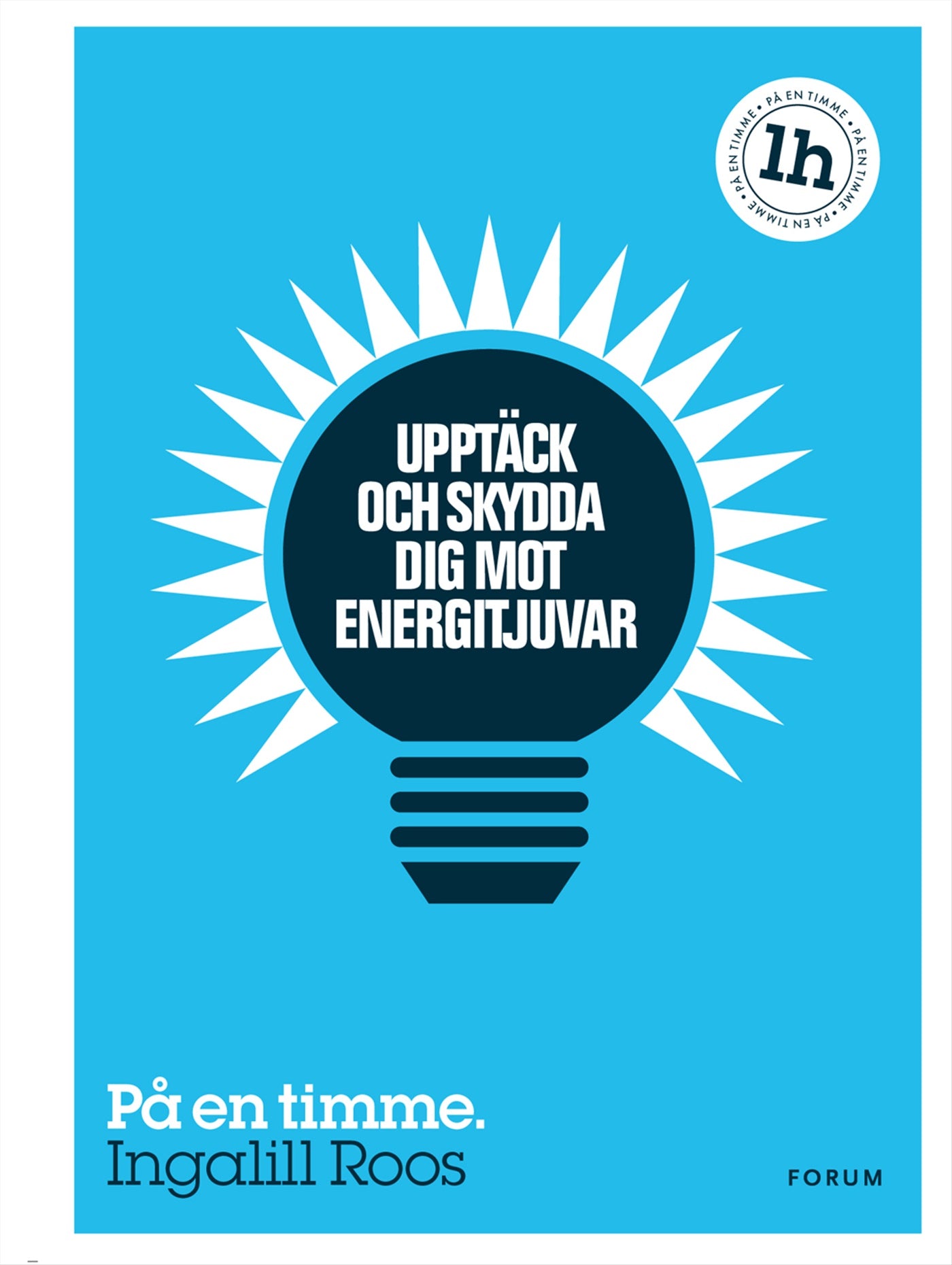 Upptäck och skydda dig mot energitjuvar : på en timme – E-bok