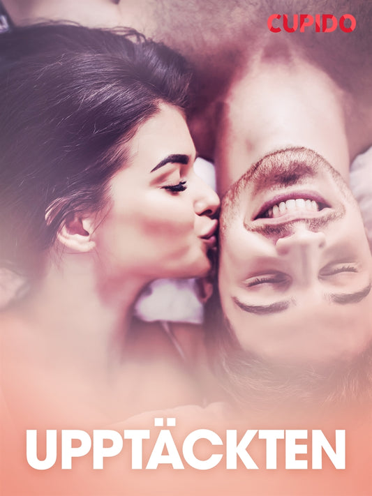 Upptäckten - erotiska noveller – E-bok