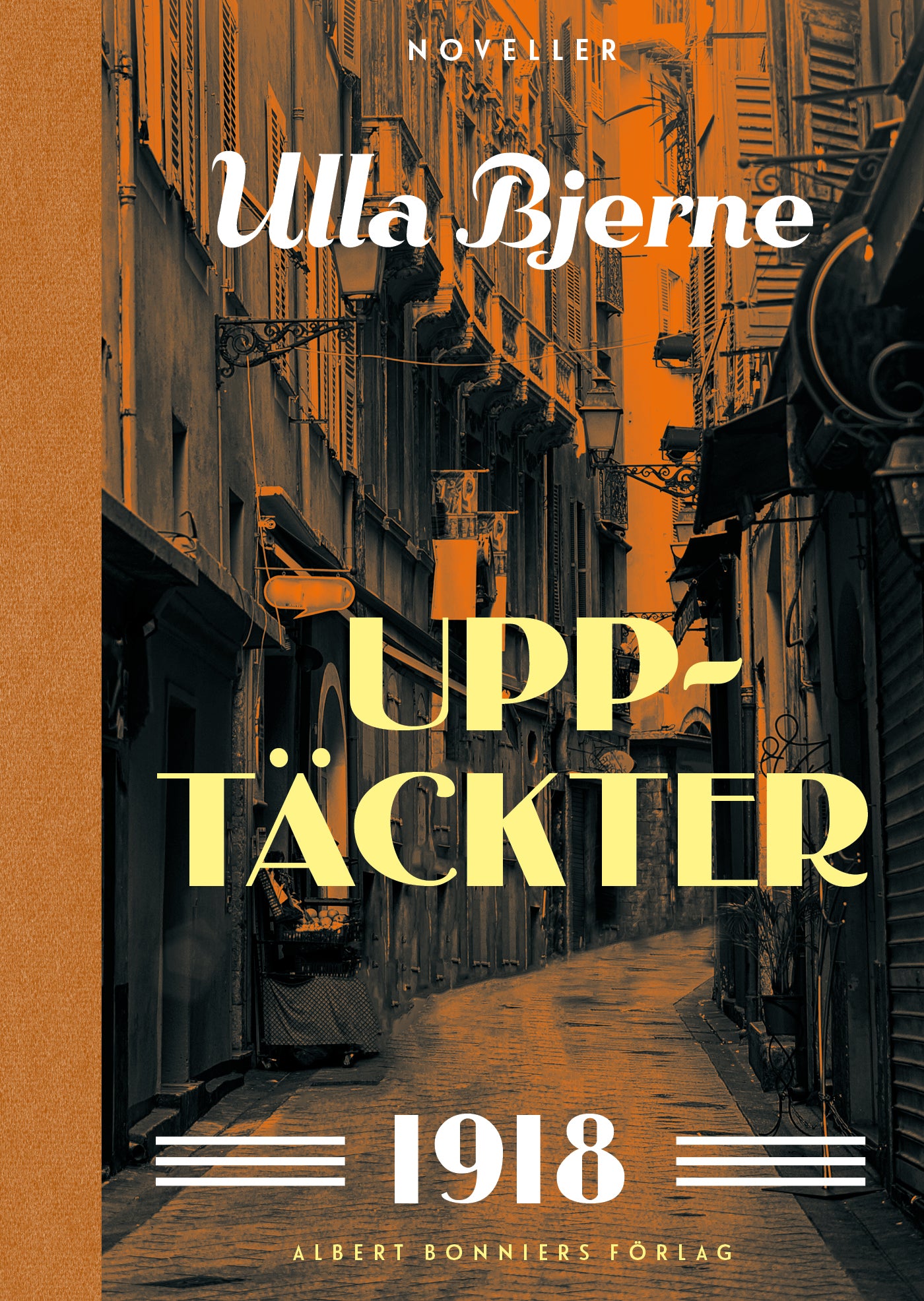 Upptäckter : noveller – E-bok