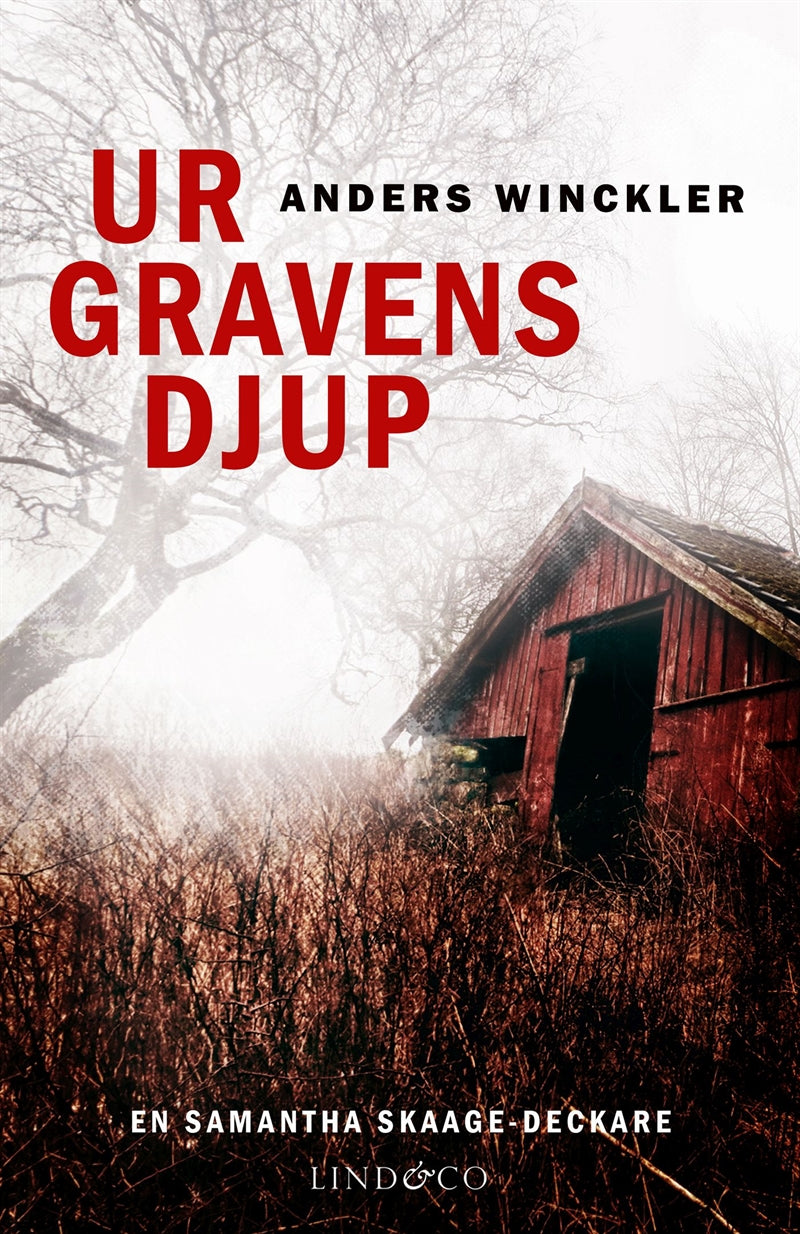 Ur gravens djup – E-bok