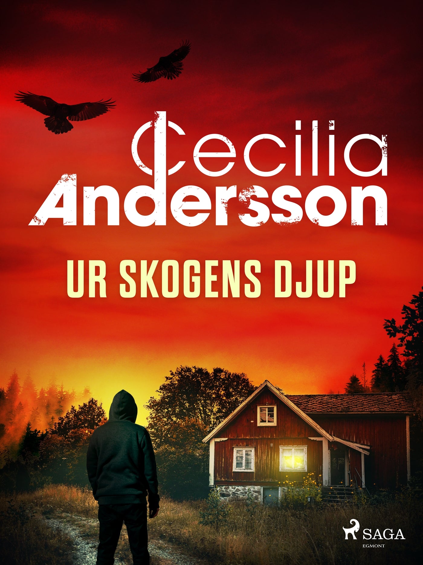 Ur skogens djup – E-bok