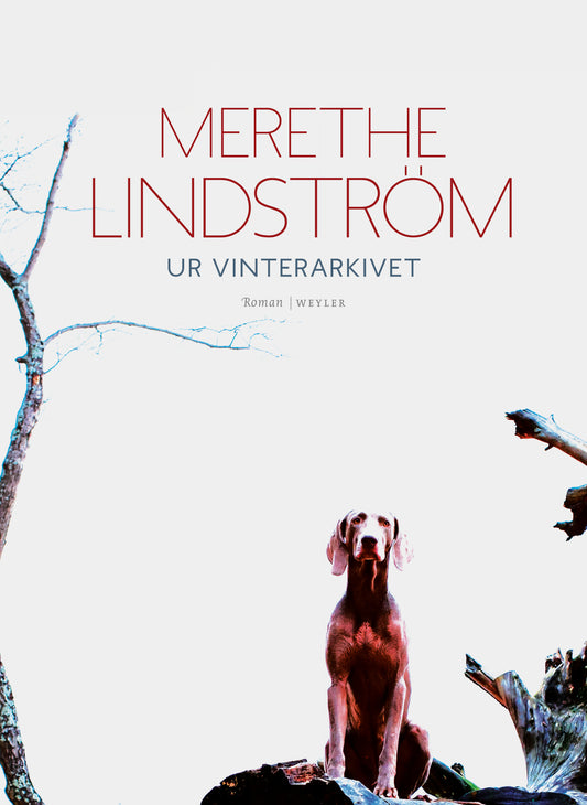 Ur vinterarkivet – E-bok