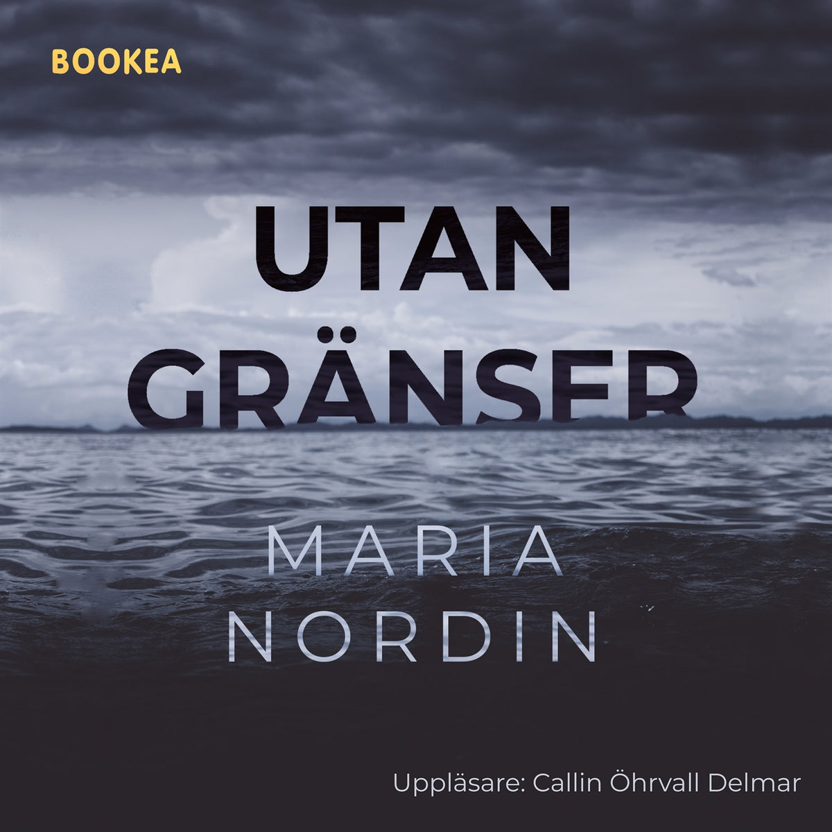 Utan gränser – Ljudbok