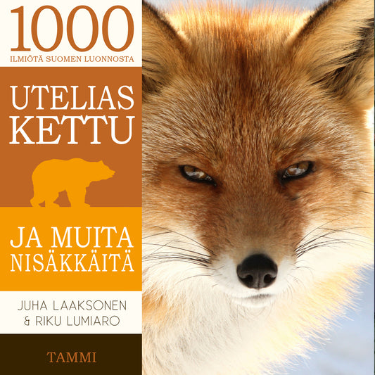 Utelias kettu ja muita nisäkkäitä – Ljudbok