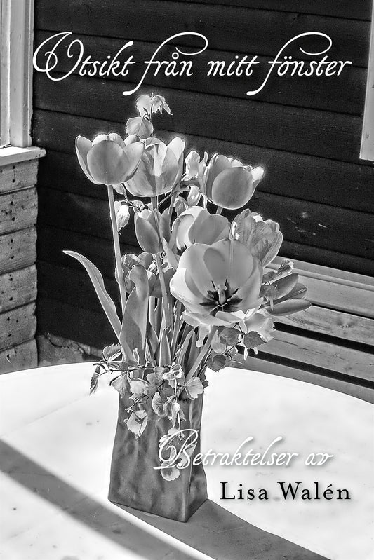 Utsikt från mitt fönster – E-bok