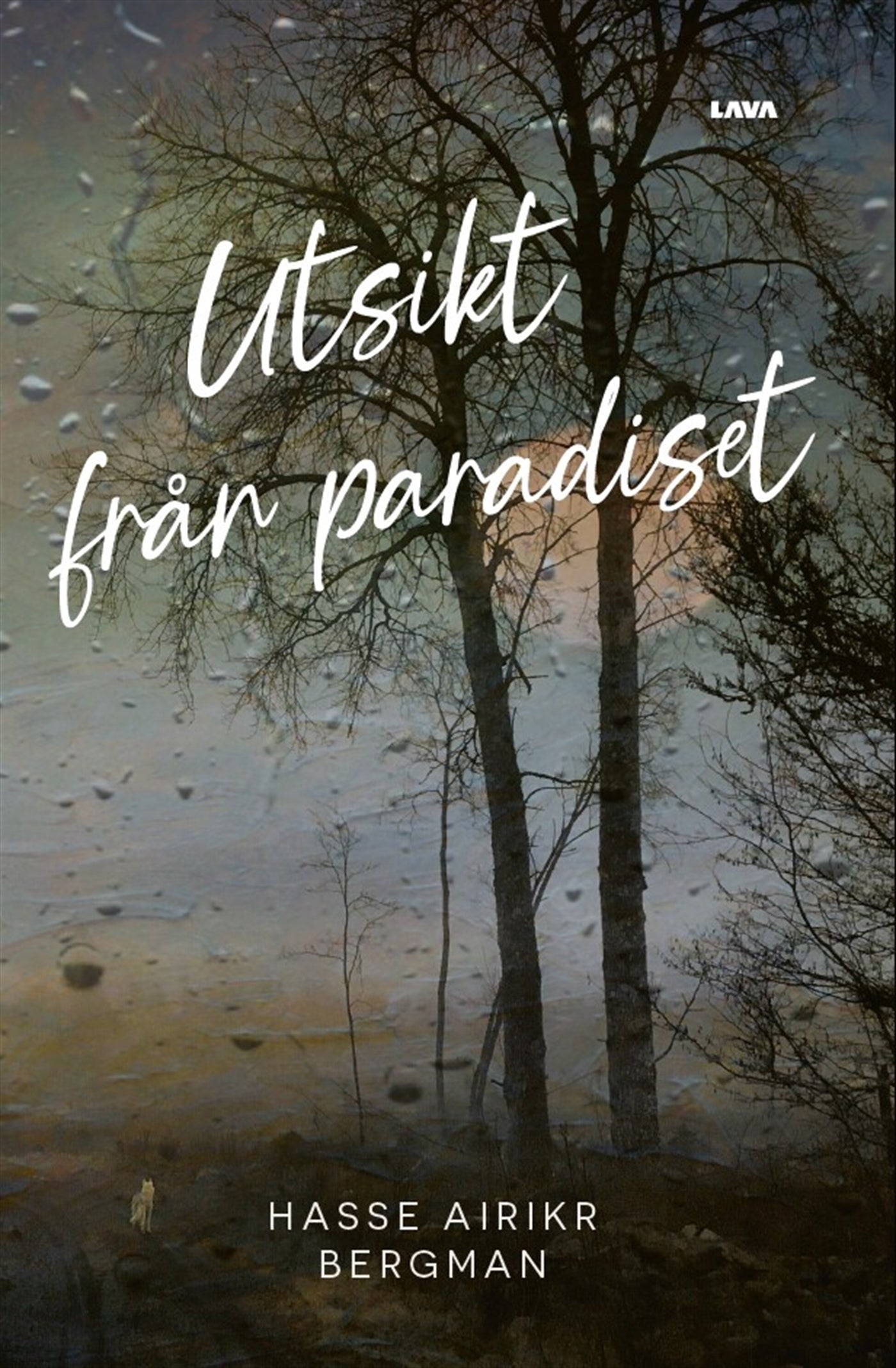 Utsikt från paradiset – E-bok