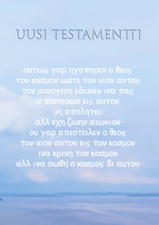 Uusi testamentti – E-bok
