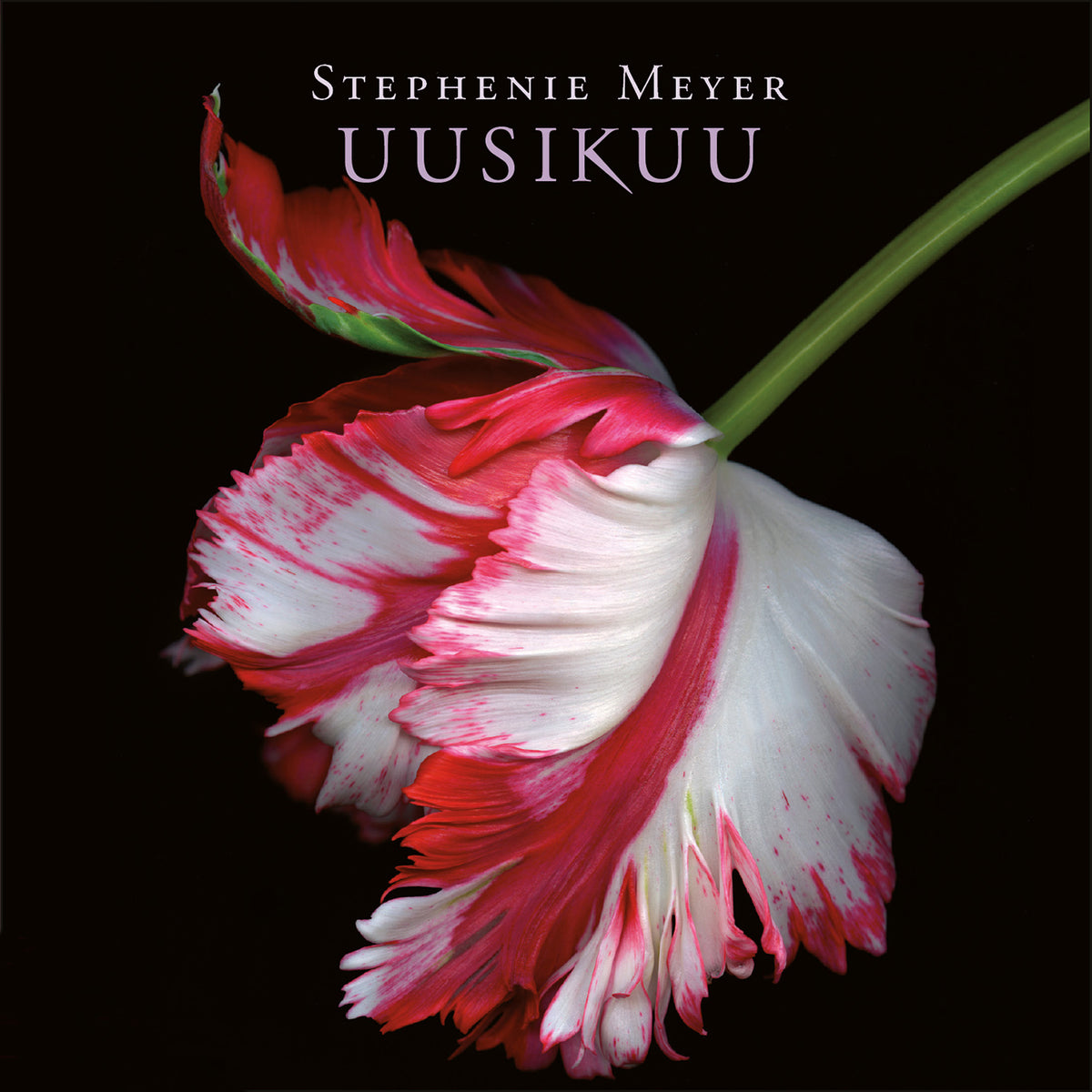 Uusikuu – Ljudbok
