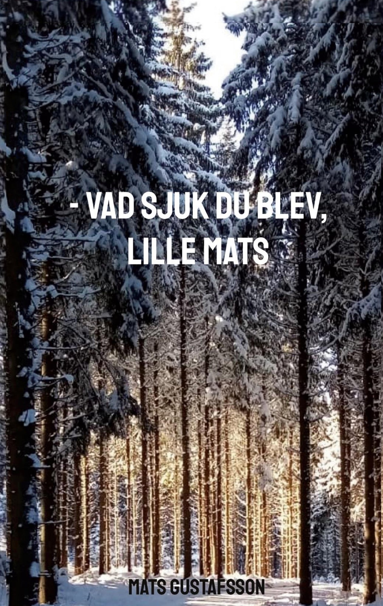 -VAD SJUK DU BLEV, LILLE MATS – E-bok