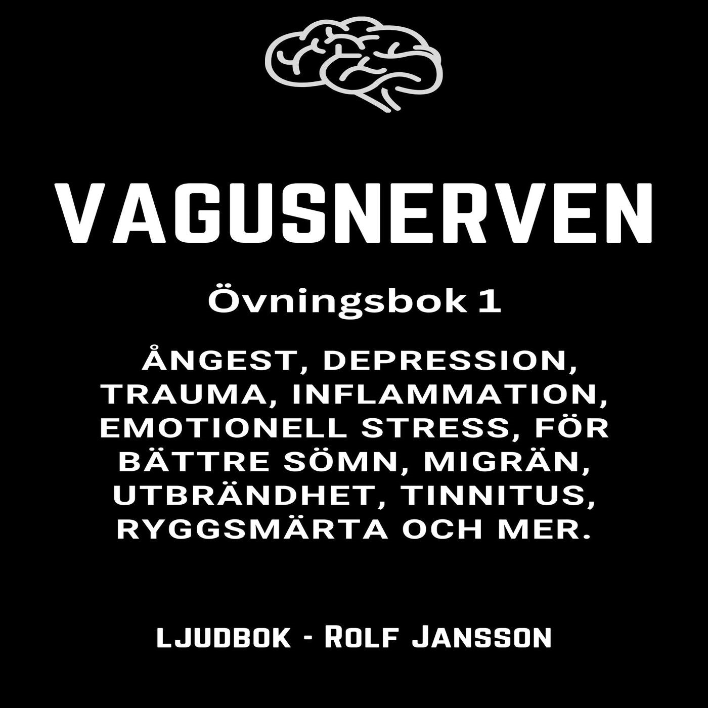VAGUSNERVEN : Övningsbok 1 : ångest, depression, trauma, inflammation, emotionell stress, för bättre sömn, migrän, utbrändhet, tinnitus, ryggsmärta och mer  – Ljudbok