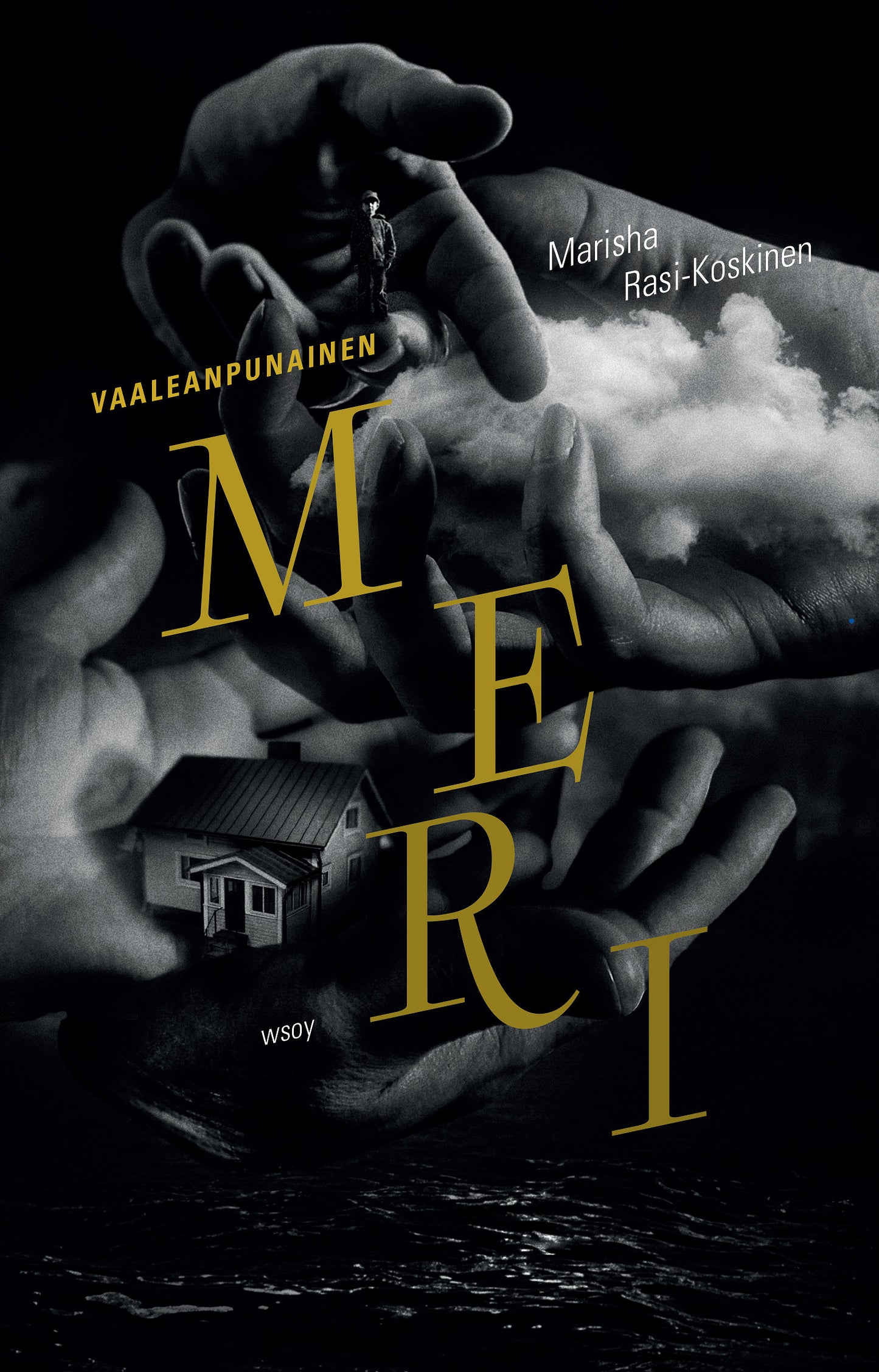 Vaaleanpunainen meri – E-bok