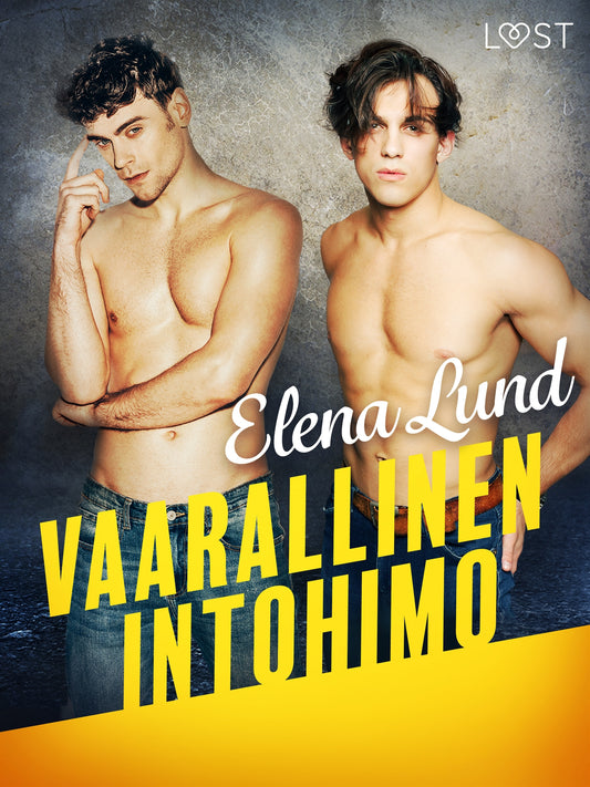 Vaarallinen intohimo - eroottinen novelli – E-bok