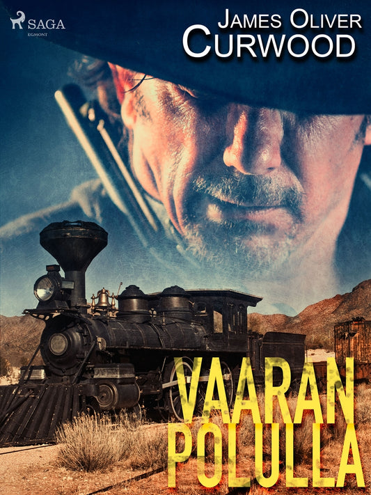 Vaaran polulla – E-bok