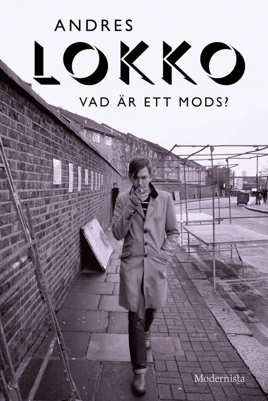 Vad är ett mods? – E-bok