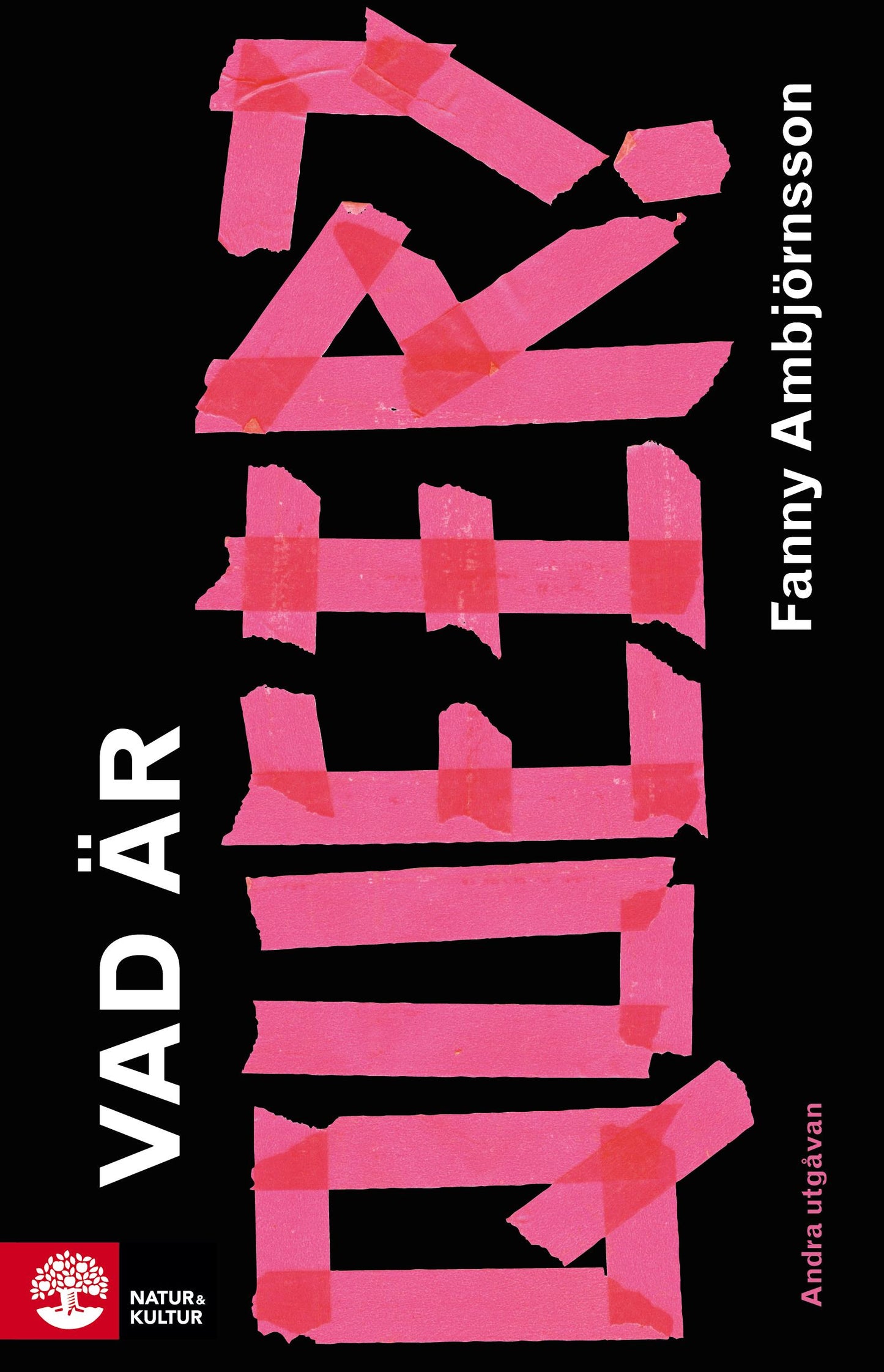 Vad är queer? – E-bok