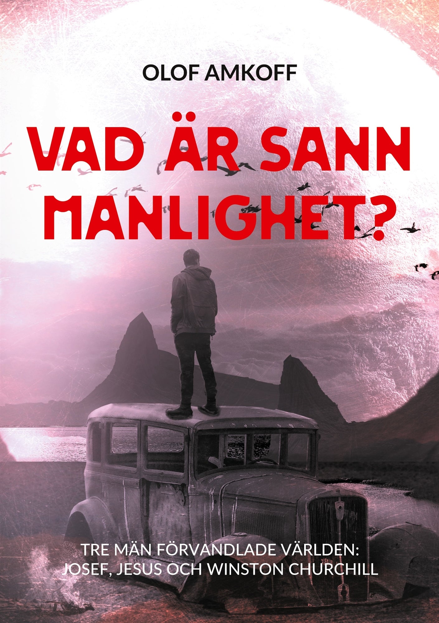 Vad är sann manlighet?: Mansseminarium om biblisk manlighet. – E-bok
