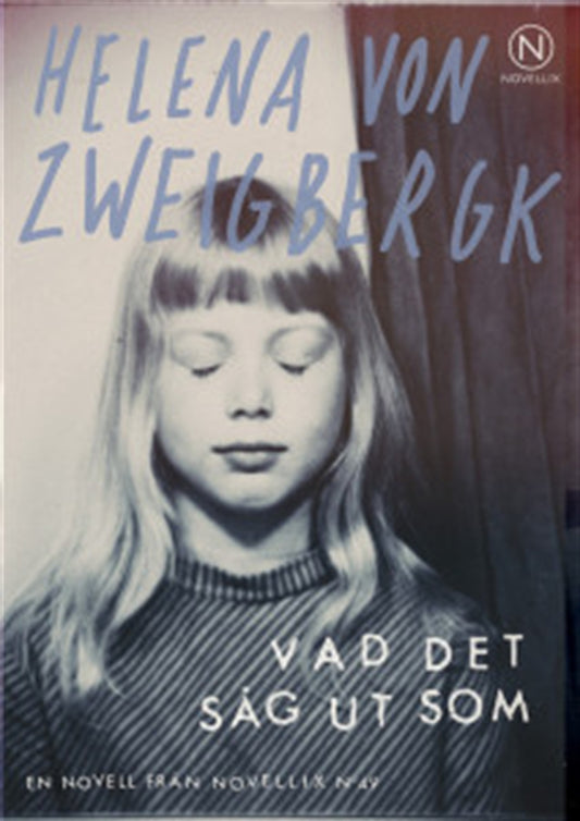 Vad det såg ut som  – Ljudbok